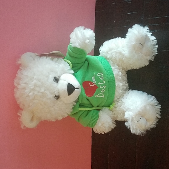The Petting Zoo Other - Plush Bear wearing green Boston sweatshirt